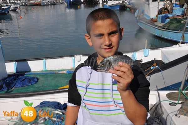 samak denisss (14).JPG